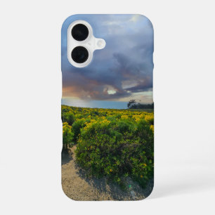 Dramatic Skies at Sunset at Point Dume iPhone 16 Case