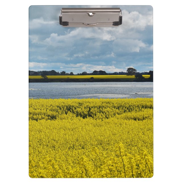 Dramatic Streatham Beauty  Clipboard (Front)