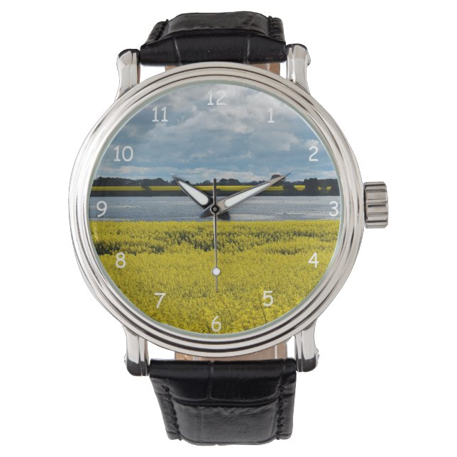 Dramatic Streatham Beauty  Watch (Front)