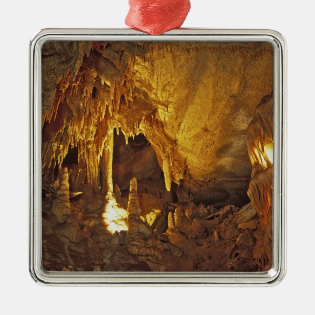 Drapery Room, Mammoth Cave National Park, Metal Tree Decoration (Front)
