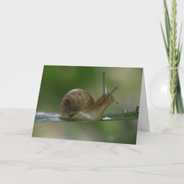 Drat!  Late Again. Card (Front)