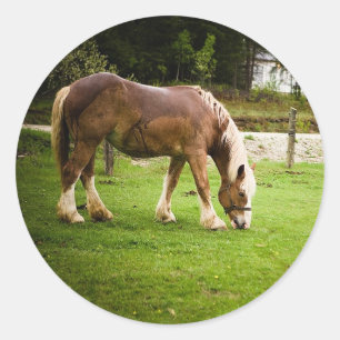Draught Grazing After Bath Classic Round Sticker
