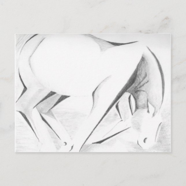 Draught Horse Abstract Postcard (Front)