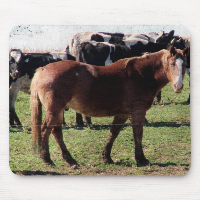 Draught Horse and Dairy Cattle Mouse Mat (Front)