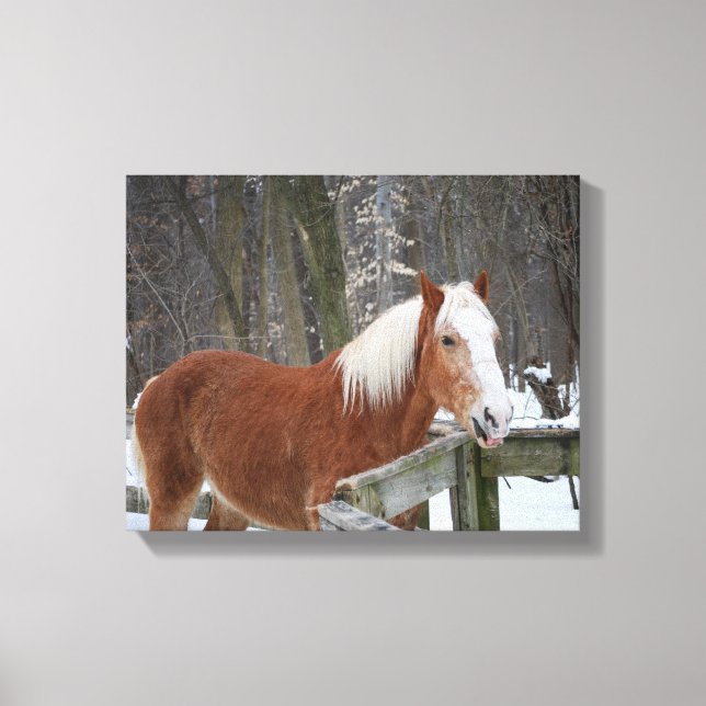 Draught Horse in the Snow Canvas Print (Front)