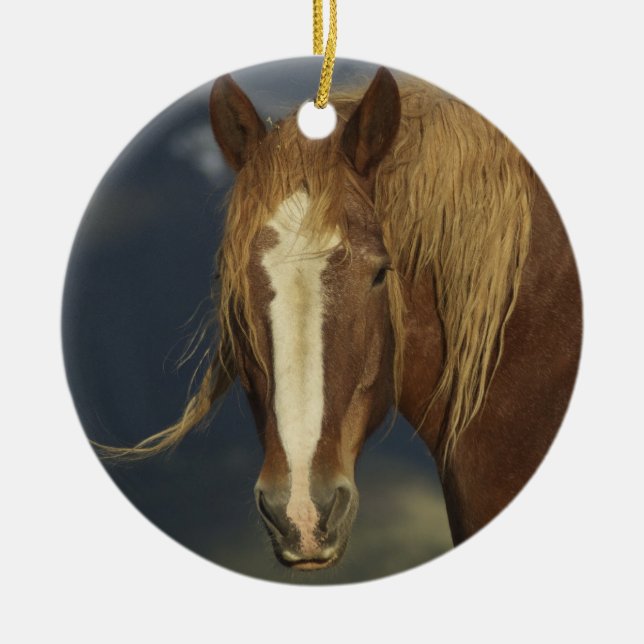 Draught   Horse Ornament (Front)