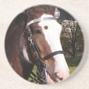 Draught Horse Rescue Coasters