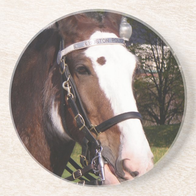 Draught   Horse Rescue Coasters (Front)