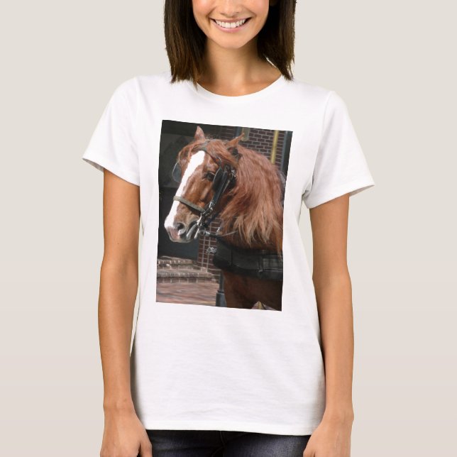 Draught   Horse T-Shirt (Front)