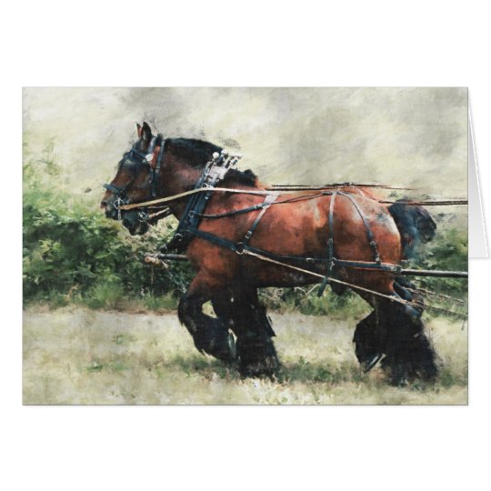 Draught horse team birthday card