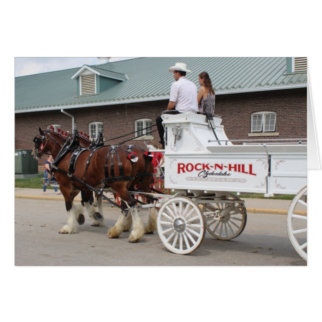 Draught Horses at a State Fair (Front Horizontal)
