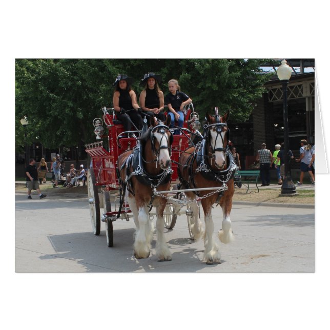 Draught Horses at a State Fair Pulling Red Wagon (Front Horizontal)