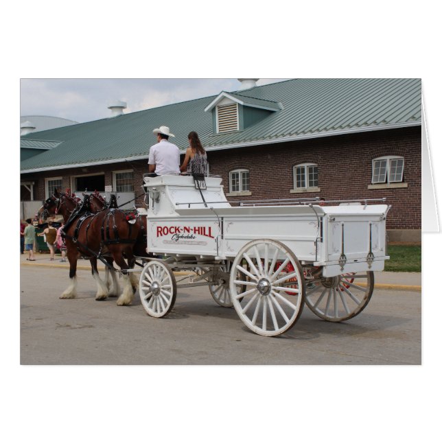 Draught Horses at a State Fair Pulling White Wagon (Front Horizontal)