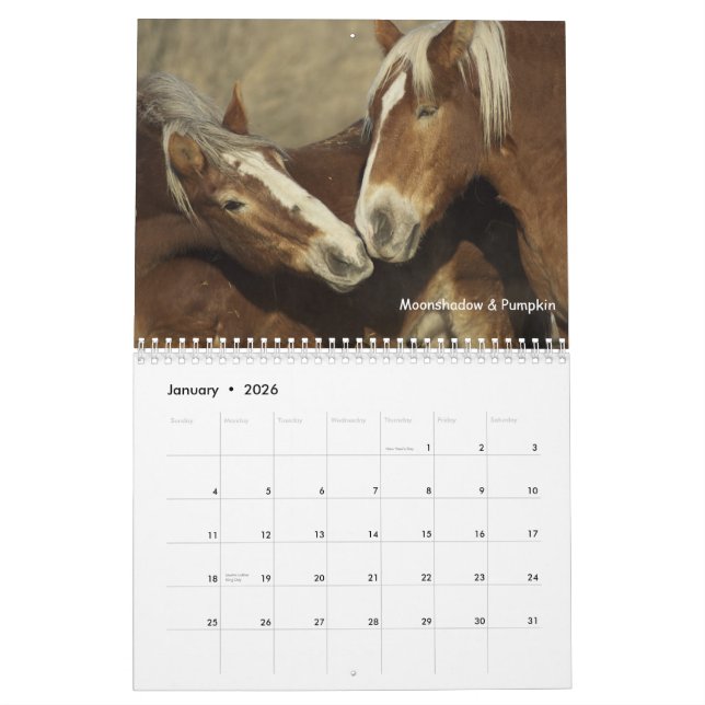 Draught   Horses Calendar #3 (Jan 2026)