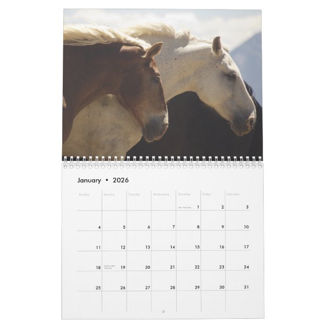 Draught   Horses Calendar #4 (Jan 2026)