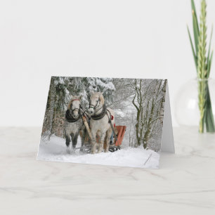 Draught Horses Christmas Holiday Card