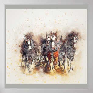 Draught Horses, Clydesdales Artwork Photo Poster