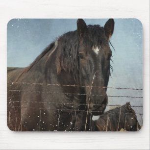 Draught Horses in a pasture Mouse Mat