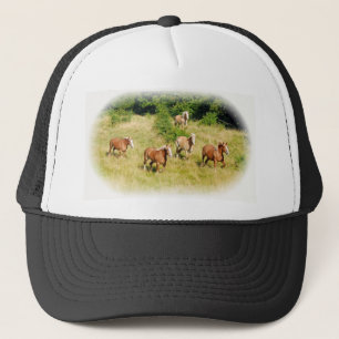 Draught   horses in field trucker hat