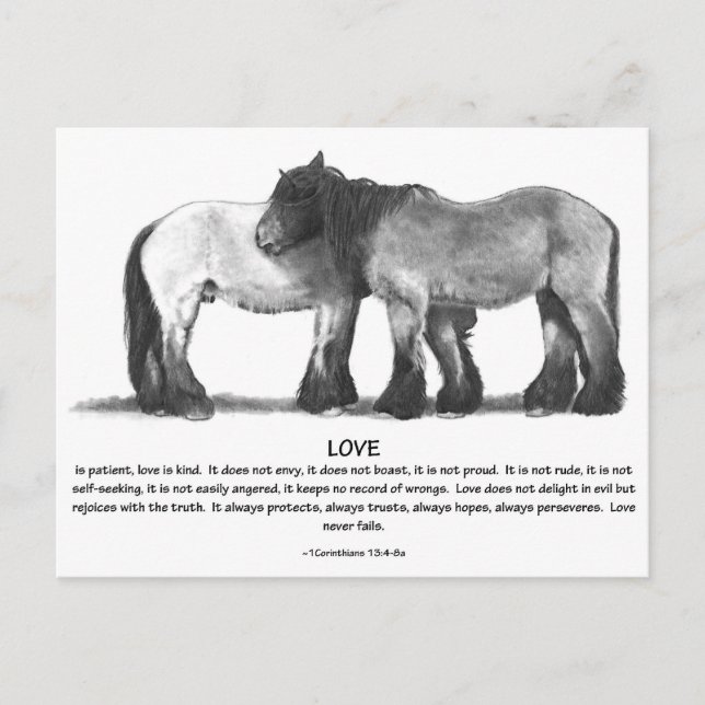 Draught Horses in Pencil: Bible Verses About LOVE Postcard (Front)