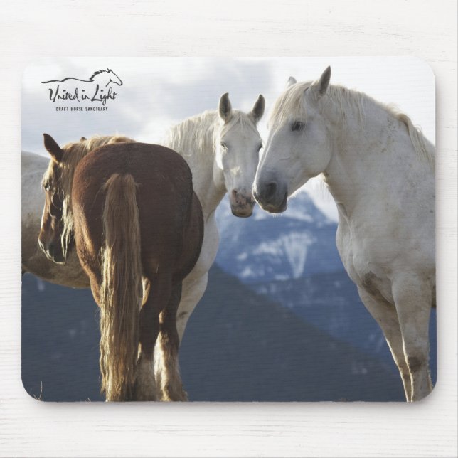 Draught   horses mouse pad (Front)