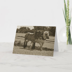 Draught horses ploughing birthday card