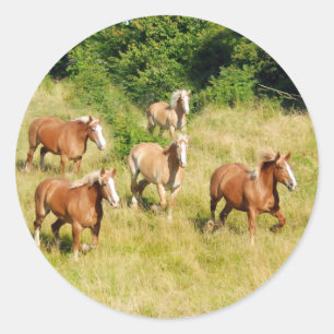 Draught Horses running in field Classic Round Sticker