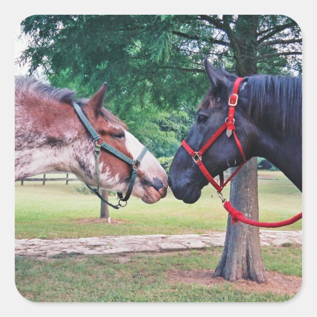 Draught Horses Sticker (Front)