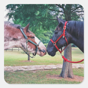 Draught Horses Sticker