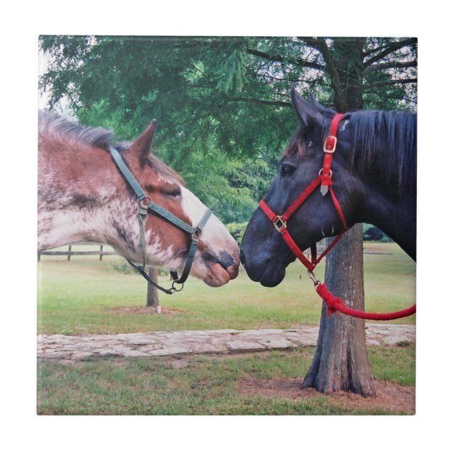 Draught Horses Tile (Front)