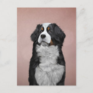 Drawing Bernese Mountain Dog Holiday Postcard