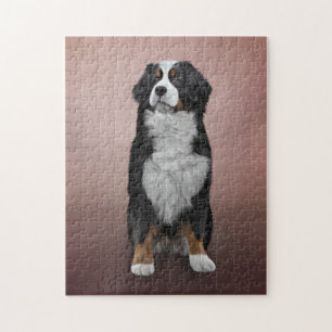 Drawing Bernese Mountain Dog Jigsaw Puzzle