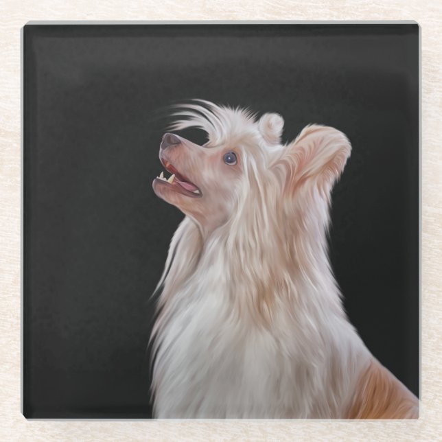 Drawing Chinese crested dog Glass Coaster (Front)