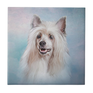 Drawing Chinese crested dog Medium Gift Bag Mouse  Tile