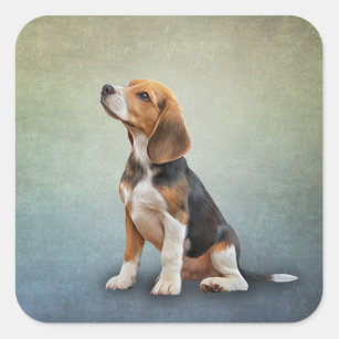 Drawing Dog Beagle 7 Square Sticker