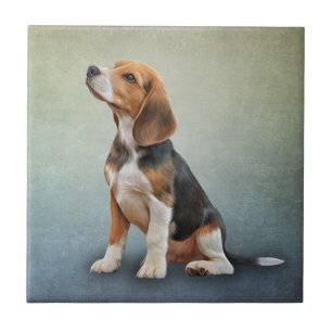 Drawing Dog Beagle 7 Tile