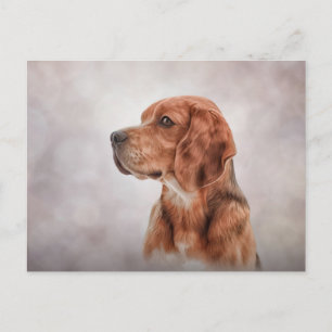 Drawing Dog Beagle Postcard