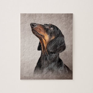 Drawing Dog breed dachshund Jigsaw Puzzle