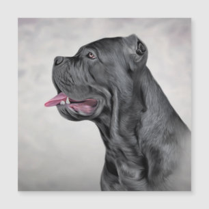 Drawing dog Cane Corso - Italian Mastiff 12