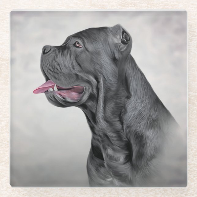 Drawing dog Cane Corso - Italian Mastiff 12 Glass Coaster (Front)
