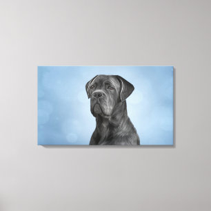 Drawing dog Cane Corso - Italian Mastiff Canvas Print