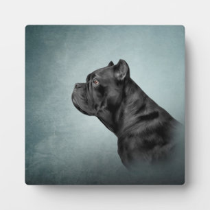 Drawing dog Cane Corso - Italian Mastiff Plaque