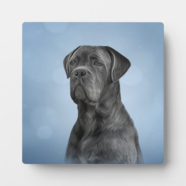 Drawing dog Cane Corso - Italian Mastiff Plaque (Front)