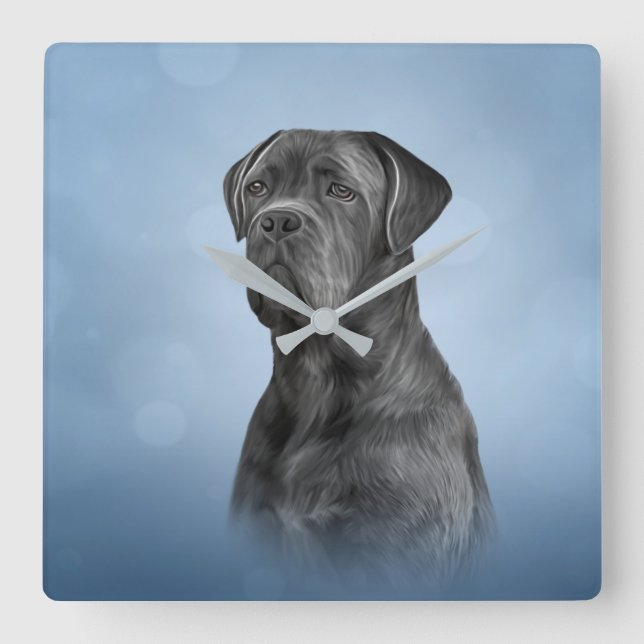 Drawing dog Cane Corso - Italian Mastiff Square Wall Clock (Front)