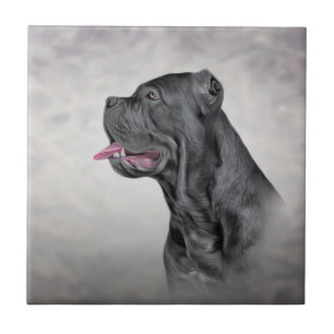 Drawing dog Cane Corso - Italian Mastiff Tile