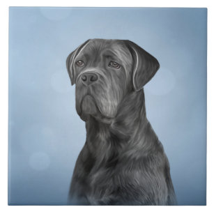 Drawing dog Cane Corso - Italian Mastiff Tile