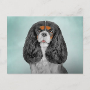 Drawing Dog Cavalier King Charles Spaniel Postcard