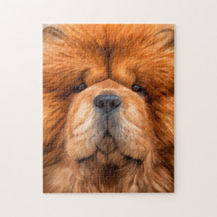 Drawing dog chow chow jigsaw puzzle