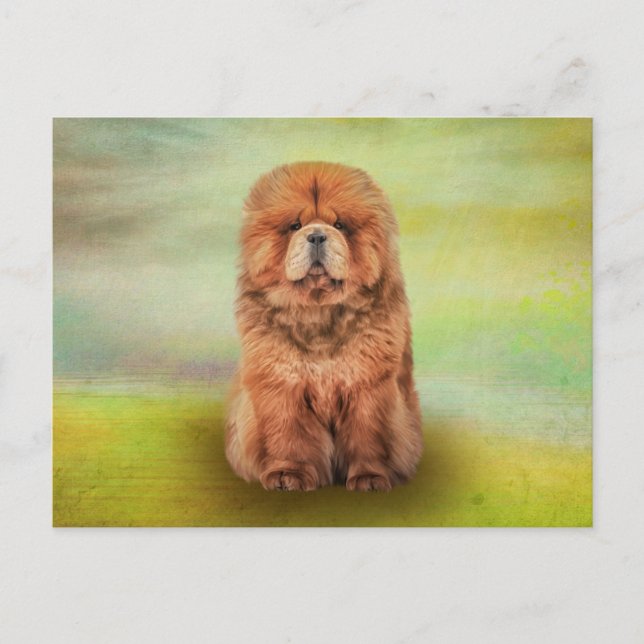 Drawing dog chow chow postcard (Front)