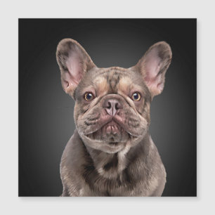Drawing dog French Bulldog Notepad Throw Pillow